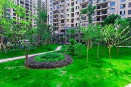 青海口碑好園林綠化值得信賴(lài)