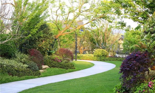 賽石精品工程 融創(chuàng) 莫干溪谷景觀(guān)工程