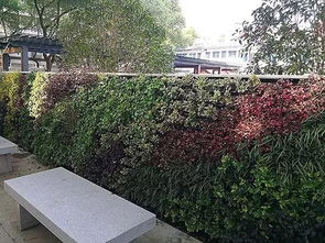 園林綠化工程施工五大細(xì)節(jié) 園林人必備