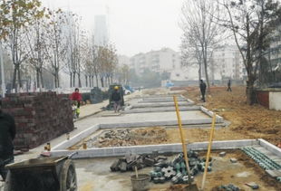 瑤海報(bào)數(shù)字報(bào) 打造精品綠化工程 建設(shè)生態(tài)園林城市