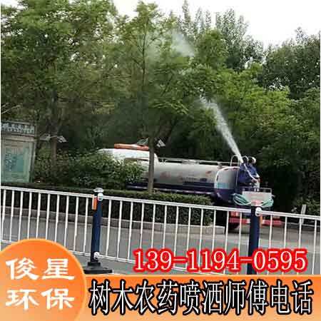 北大地園林綠化殺蟲租賃園林噴藥車施工隊 俊星環(huán)保