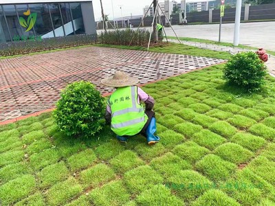 寶裕(佛山)再生資源高明新廠區(qū)園林綠化工程施工方案與技術(shù)要點(diǎn)