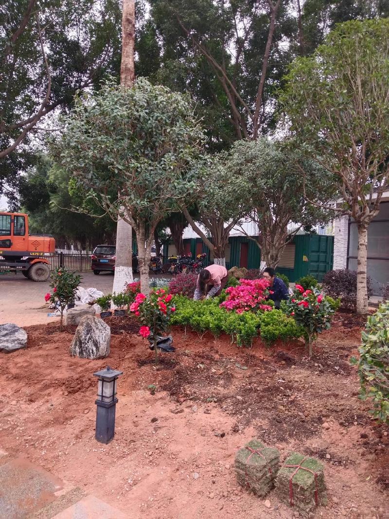 雙輪驅(qū)動(dòng)城市活力 園林綠化與體育場(chǎng)地設(shè)施工程施工要點(diǎn)探析